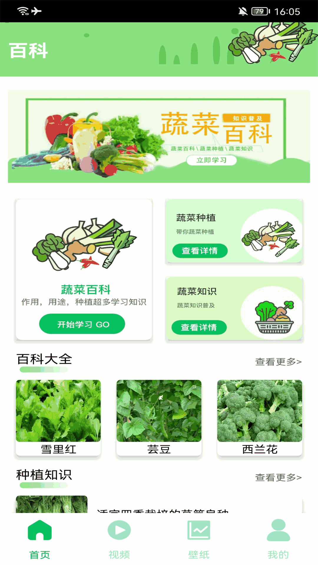 有机菜市场