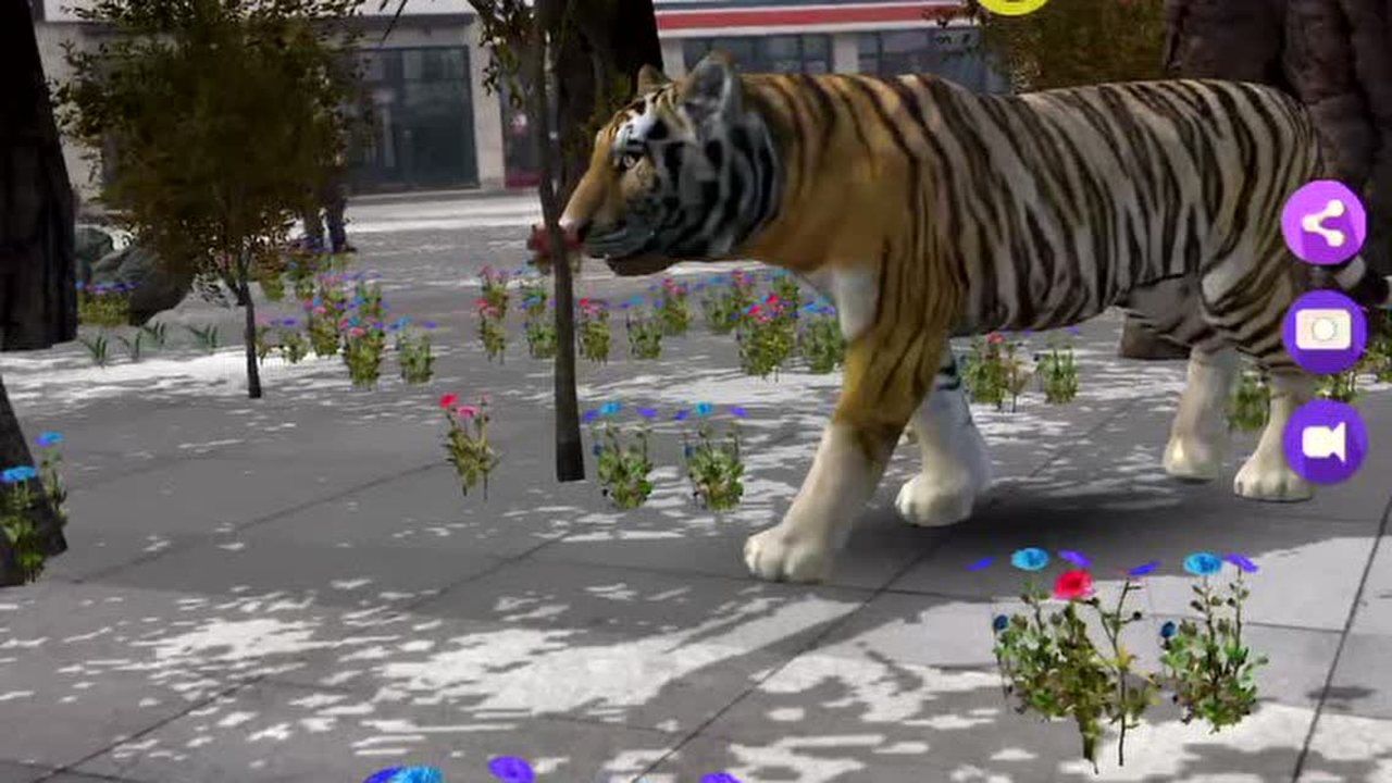 猫小智动物园AR探索恐龙海底森林的软件